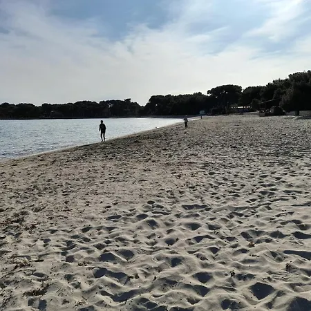 Lejlighed Magnific *