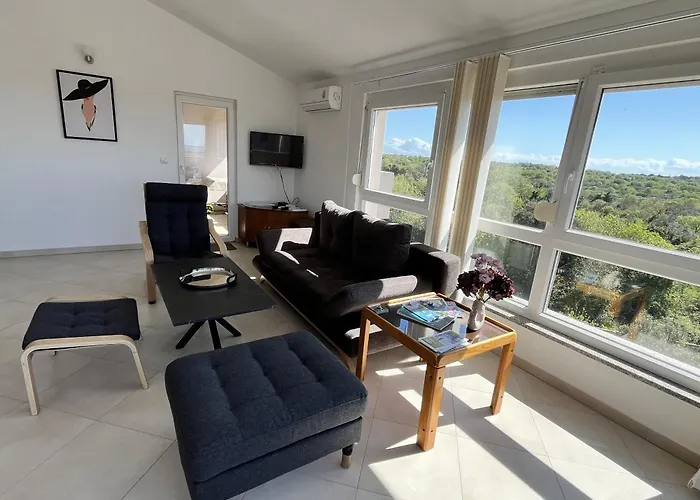Magnific Appartement